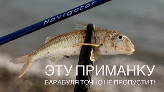 Эту приманку БАРАБУЛЯ ТОЧНО НЕ ПРОПУСТИТ😁 Ловля барабули на спиннинг🎣