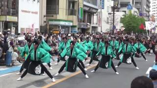 浦和よさこい2016 ～ 夏舞徒