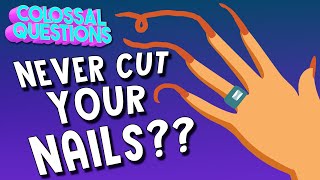 What If You Never Cut Your Fingernails? | COLOSSAL QUESTIONS