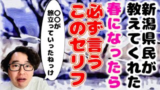 【新潟×あるある】新潟県民が教えてくれた春になると必ず言っちゃう⁉️セリフ🌸5選🌟