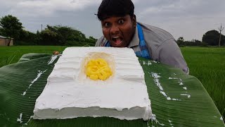 Toilet Cake Making|ஆய் கேக் செஞ்சு சாப்பிடலாம் Yummy and Tasty Cake Making|VFS|Suppu