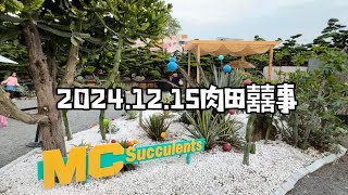 2024肉田囍事Vlog分享