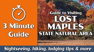 Lost Maples State Natural Area | Things to Do, Hiking, Camping | 3-Minute Guide
