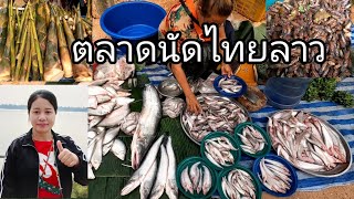 เลาะตลาดนัดไทยลาว บ้านหนาด จ.นครพนม ปลาตอง+ปลายอนหลายขนาดพี่น้องเอย