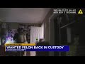 Wanted felon back in custody