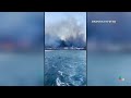 people flee hawaii on boat to escape wildfire smoke