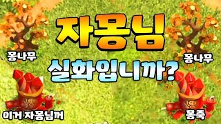 [2월업데이트] 신규장애물등장! 슈퍼셀은 벰보다 자몽을 좋아한다 클래시오브클랜 비엠TV