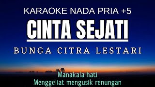 BCL - Cinta Sejati (Karaoke Male Key Nada Pria +5 Gm)