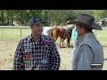 pivot bio nfr top athlete tyler waguespack short interview