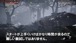 ホライゾン(NG+UH) 狩場：くしの岩壁 『偵察阻止』 攻略 | FUNGAMESLICE