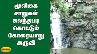 மூலிகை சாறுகள் கலந்தபடி கொட்டும் கோரையாறு அருவி | Koraiyar Falls