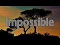 Impossible  James Arthur Lyrics  JVKE Olivia Rodrigo Mix Lyrics