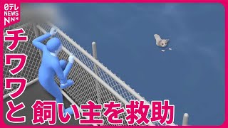 【海に飛び込んだチワワを救助】飼い主も一緒に…  警察から4人に感謝状  神奈川県