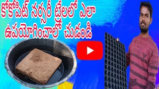 How To Use Cocopeat In a Seeding Tray Telugu . కోకోపిట్ ని నర్సరీ ట్రేలాలో ఎలా ఉపయోగించాలి.