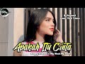 DJ Apakah Itu Cinta (Happy Asmara) - DJ Fullband x My Neck My Back - sound viral tiktok