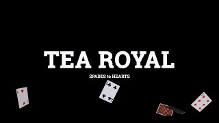 TEA ROYAL - SPADES TO HEARTS - Dedolight Competition 2020 - Video lighting setup