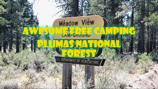 Awesome Free Camping Plumas National Forest