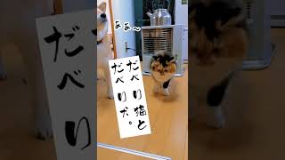 【犬猫アテレコ】最先端のテクノロジー