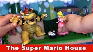The Super Mario House
