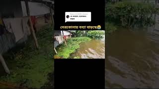 আবারও প্রবল বেগে বাড়তে লাগলো বন্যার পানি|আল্লাহ! আপনি রক্ষা করুন|আমিন #সিলেট #বন্যা #shorts