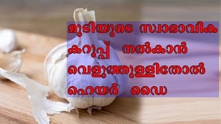 മുടിയുടെ സ്വാഭാവിക കറുപ്പ് നിറം തിരികെ നല്‍കാന്‍ വെളുത്തുള്ളിതോല്‍ ഹെയര്‍  ഡൈ/Malayalam Health Tips