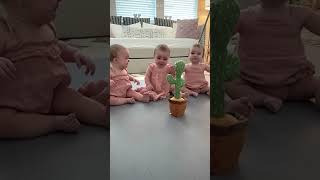 3 Babies vs. 1 Talking Cactus – Who Wins?! 🤣 🌵