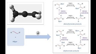 Stereodivergence in Nickel-Catalyzed Hydroboration with Dr. Xiaoxu Yang