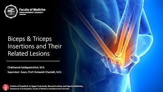 Biceps and Triceps and their related lesion