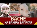 Bache Ka Bakray say Pyar | Bakra Eid Special | Emotional Qurbani Story | Qurbani 2021