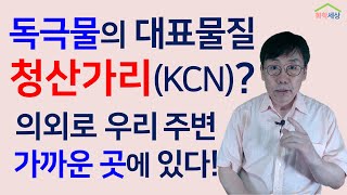 청산가리,  독극물인 청산가리는 어떤 화학물질이며, 독성은 어느 정도인가? 화학세상