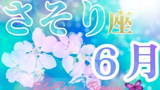 さそり座♏６月運勢🌈大きな流れに乗って🌊✨心から繋がり会える出会い※音声が割れて聞きづらいです🙇#ルノルマンカード #タロット #蝎座