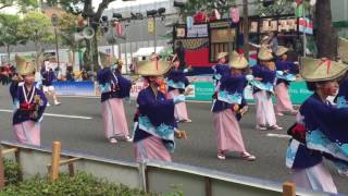 高知市役所踊り子隊 第63回よさこい 8月11日 追手筋本部競演場