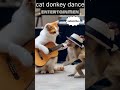 best cat donkey dance viralvideo video trending shorts donkey music song