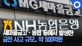 새마을금고·농협 등에서 발생한 금전 사고 규모.. 약 500억원 / OBS 뉴스오늘