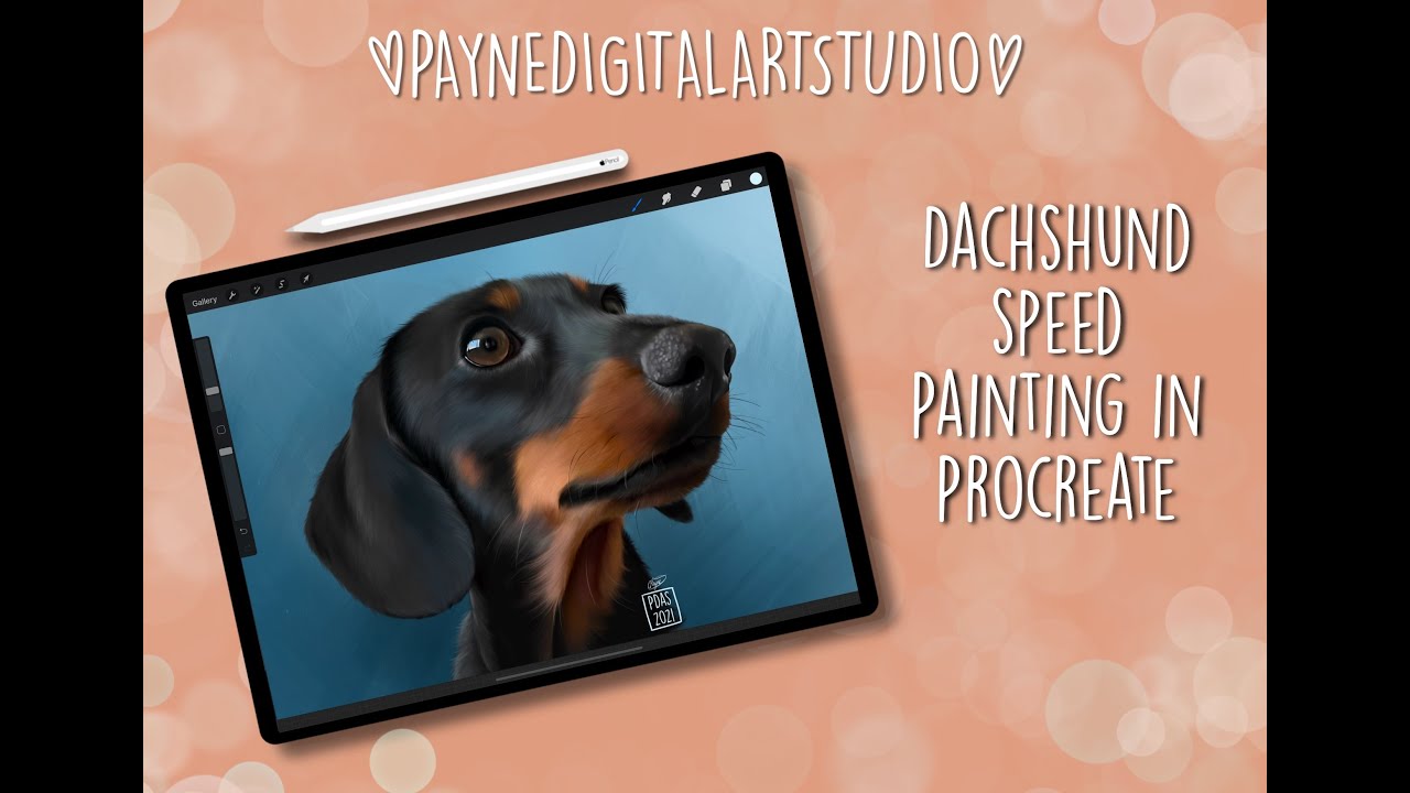 Drawing A Dachshund In Procreate Youtube