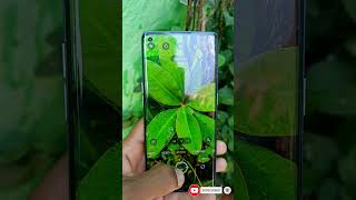 #oppo Reno 6 pro camera test High quality camera review best natural camera #mobilephonereview 2024