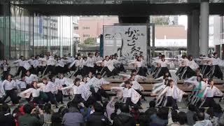 「学生よさこいチーム おどりんちゅ『羅針盤』」浜よさ がんこ祭2019 2日目