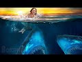 Ocean Predators | Film HD