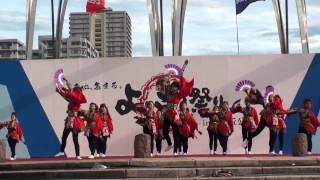 夜さ来い夏舞輝～乱～さん＠2012　よさこい祭りin光が丘公園