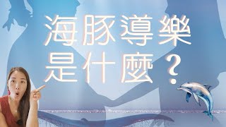 天啊❗️什麼？海豚幫妳生產導向快樂？海豚導樂是什麼？！