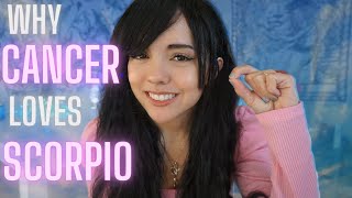 CANCER AND SCORPIO ♋💘♏| LOVE COMPATIBILITY | SYNASTRY | What's the connection like?