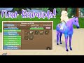 Checking Out the New COLLECTION LOG + Rewards! | Wild Horse Islands