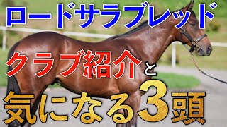 【ケイアイF】ロードサラブレッドはカナロア産駒をはじめ良血馬多数！セリ購入馬もかなり走る。【一口馬主】