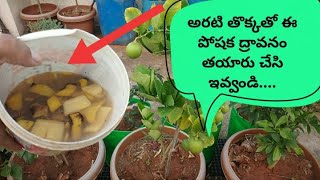 అరటి తొక్కలతో fertilizer చేసుకోవచ్చు  How to prepare banana peel Fertilizer quick and easy in telugu