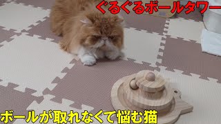 ぐるぐるボールタワーで遊ぶ猫をどうぞ！