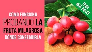 La FRUTA MILAGROSA 🍇con los 3 efectos QUE AUN NO CONOCES 😜[FUNCIONA] Ledidi de Nature's Wild Berry