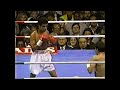 第3戦目 ウンベルト・ゴンザレス vs マイケル・カルバハル wbc・ibf世界j・フライ級タイトルマッチ