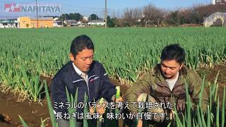 ナリタヤやさい 千葉県山武郡芝山町・瀧澤直紀さんの長ねぎ