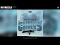 rayrizzle chills official audio