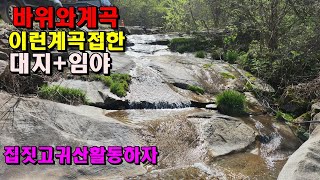 골막장 기막힌계곡접한 집지을수있는임야와대지/26,500/정선임야/정선부동산매매